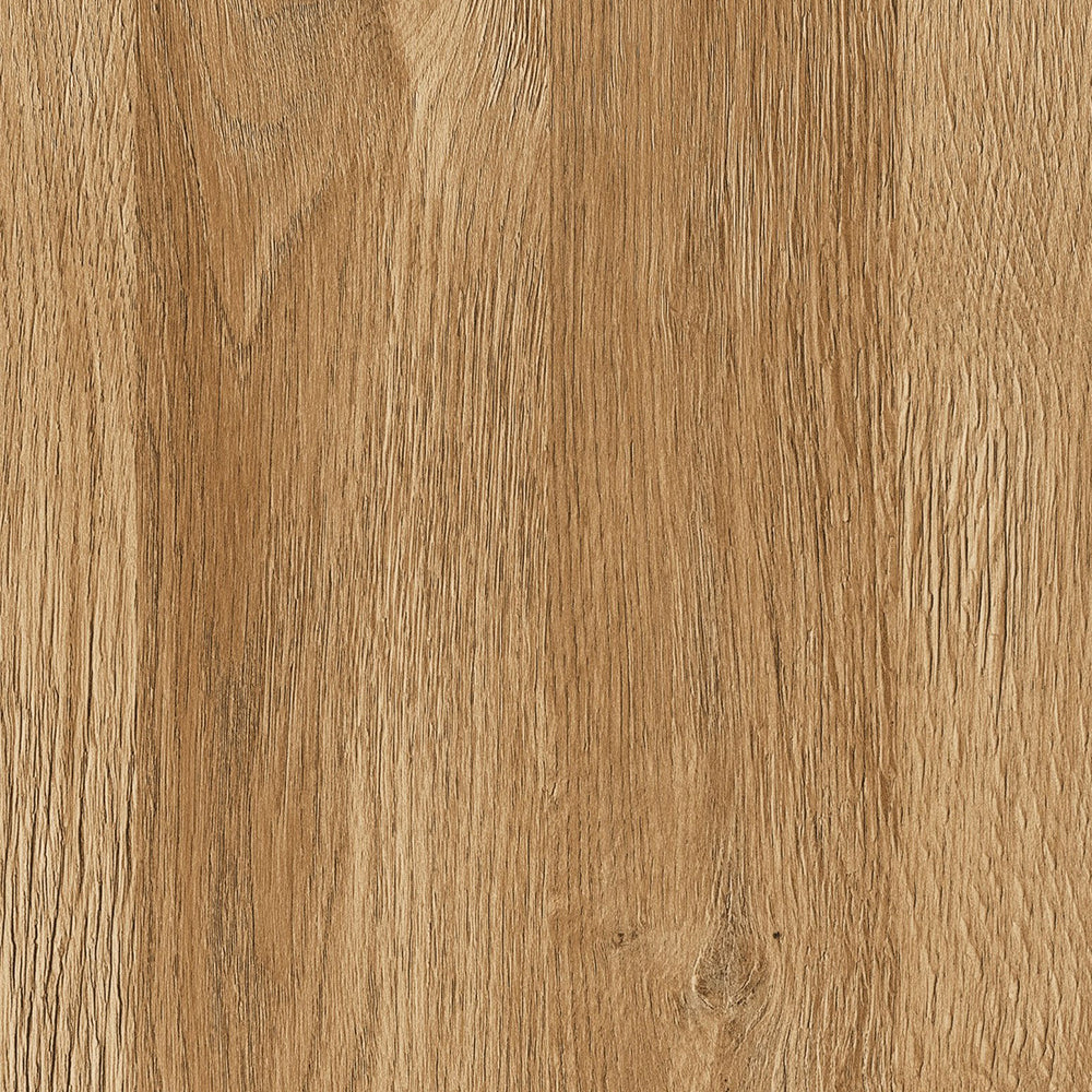 Cortina 2 Door Cabinet in Grandson Oak