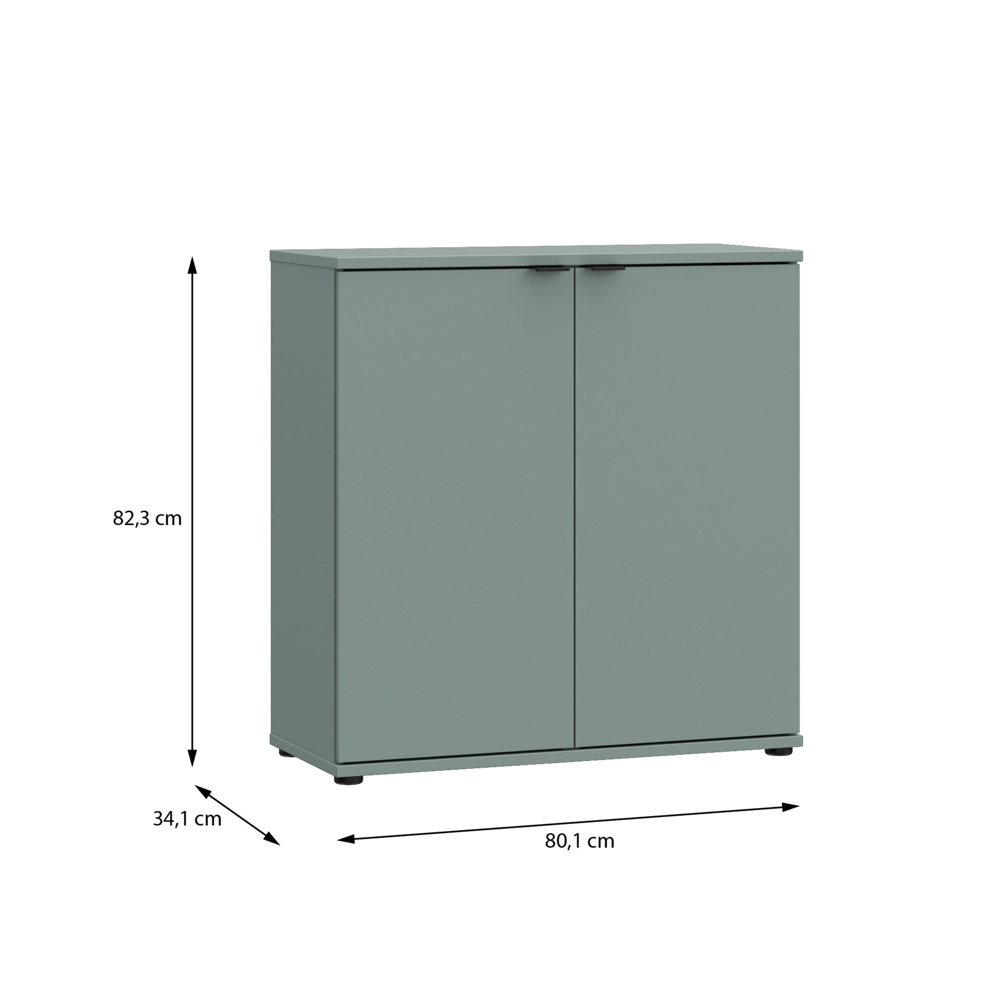 Ganymede 2 Door Cupboard in Sage Green