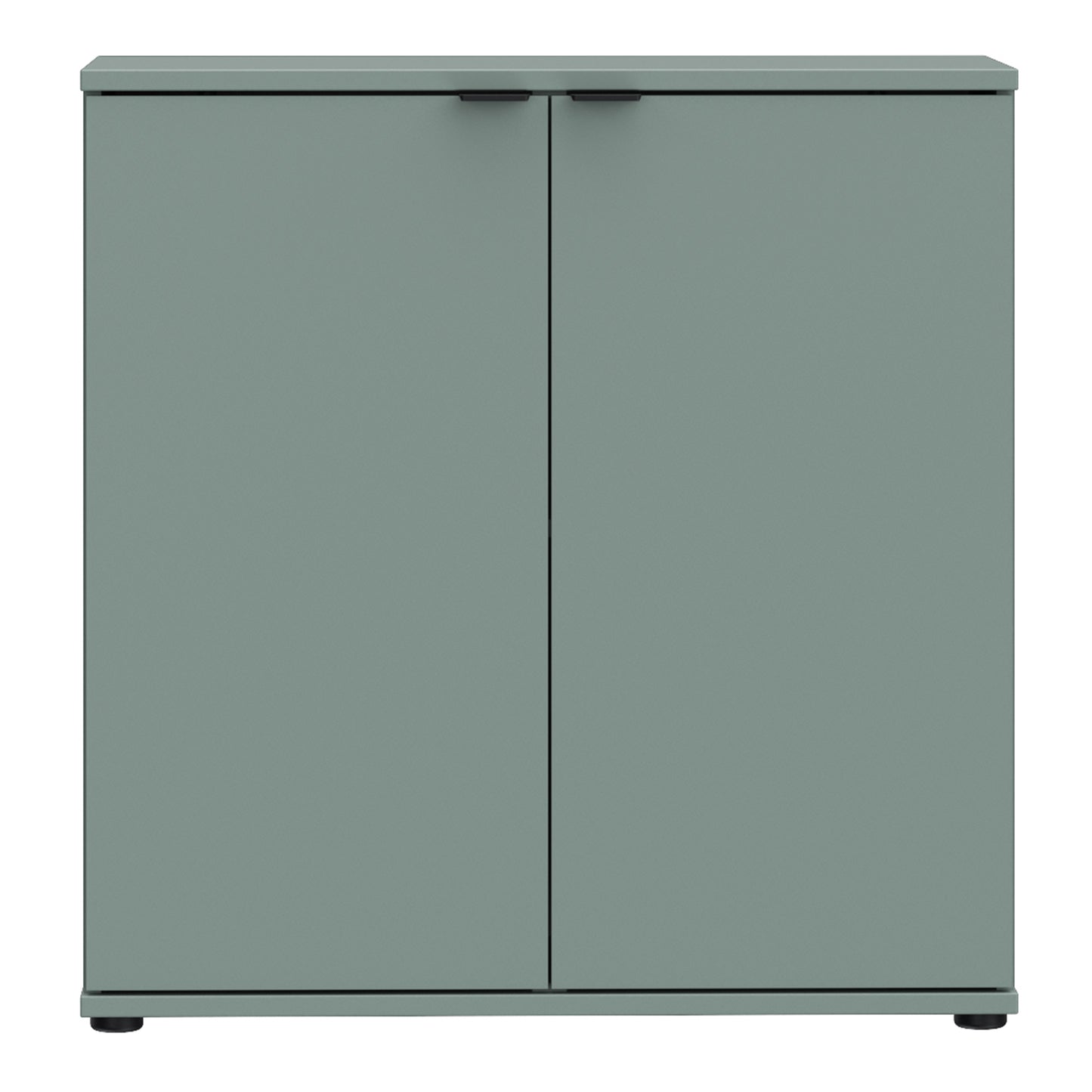 Ganymede 2 Door Cupboard in Sage Green