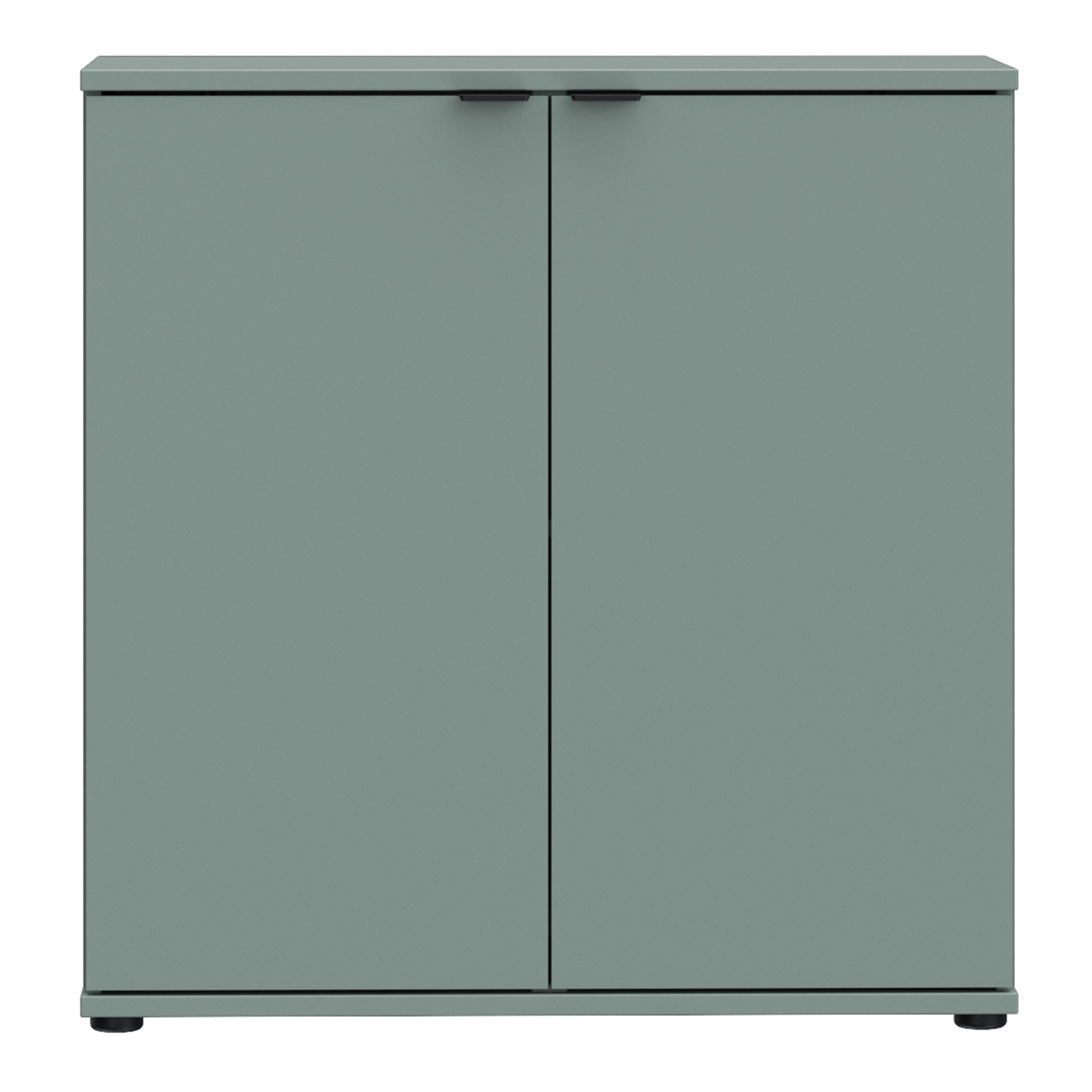 Ganymede 2 Door Cupboard in Sage Green