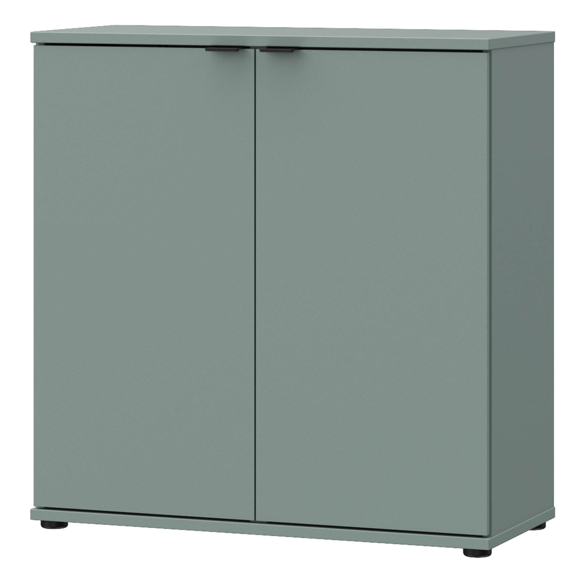 Ganymede 2 Door Cupboard in Sage Green