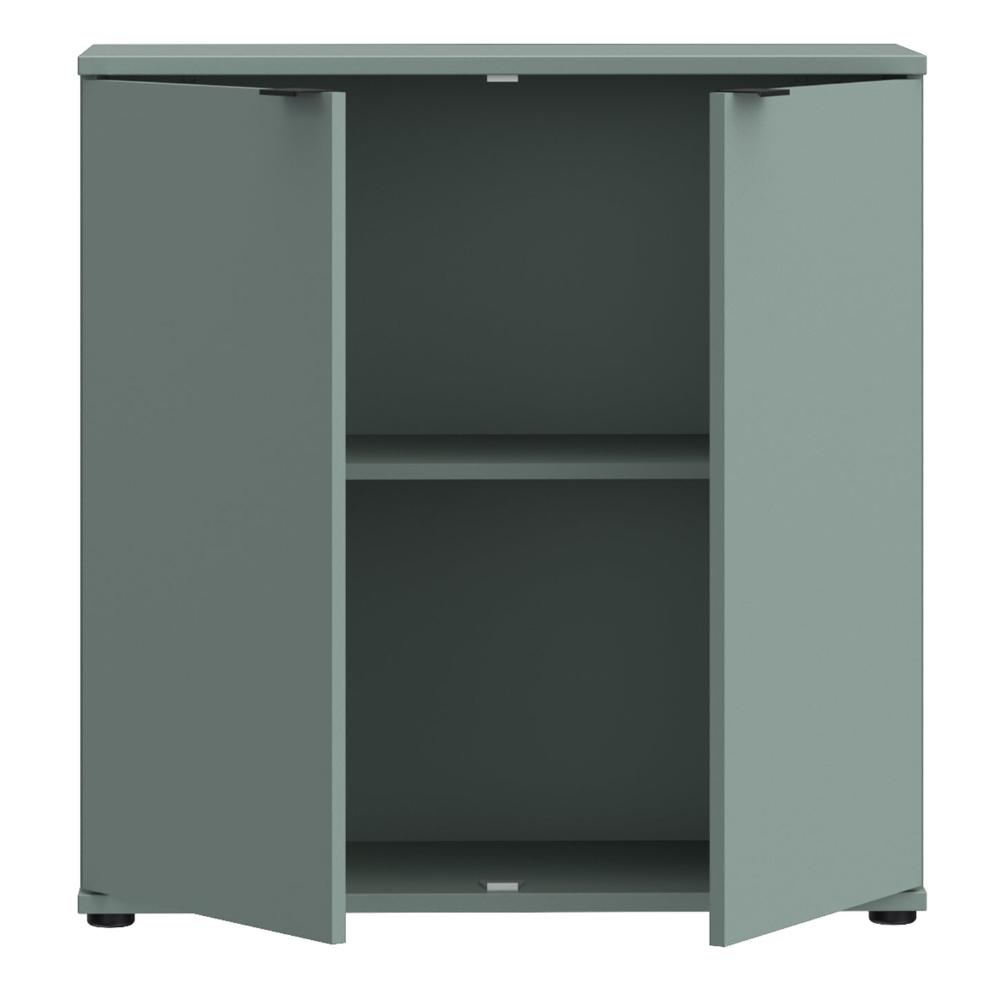 Ganymede 2 Door Cupboard in Sage Green