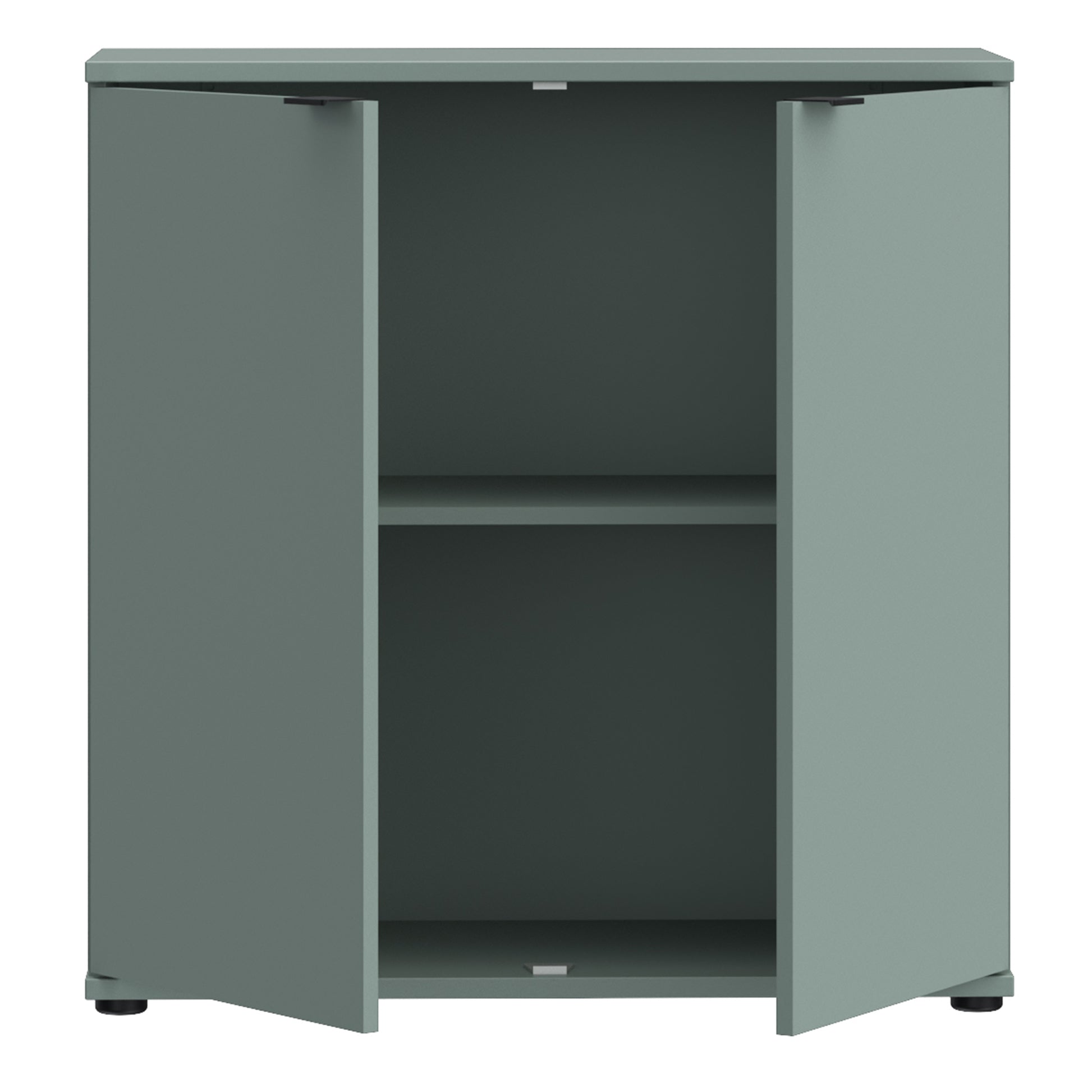 Ganymede 2 Door Cupboard in Sage Green