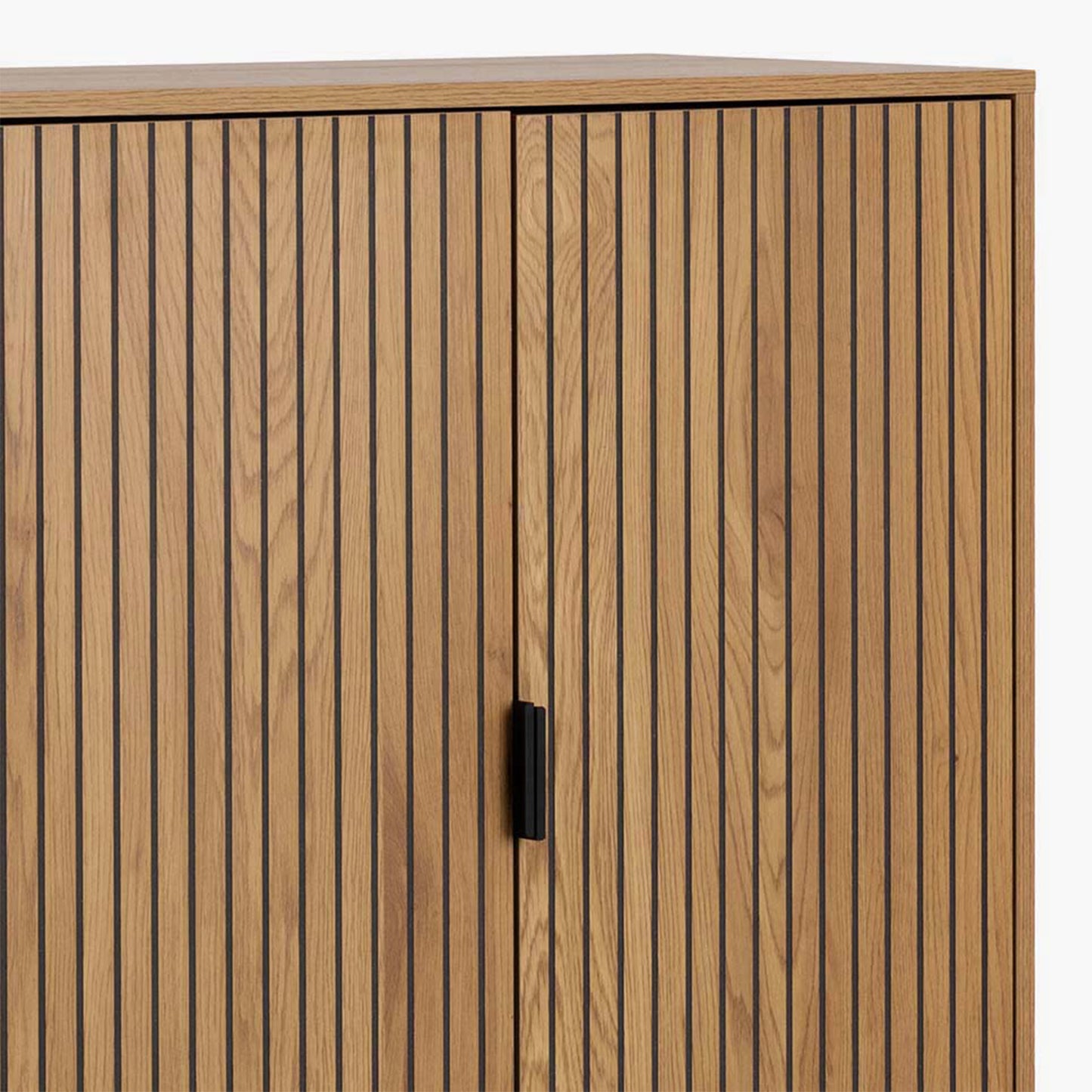 Jaipur Cabinet with 2 Doors in Wild Oak