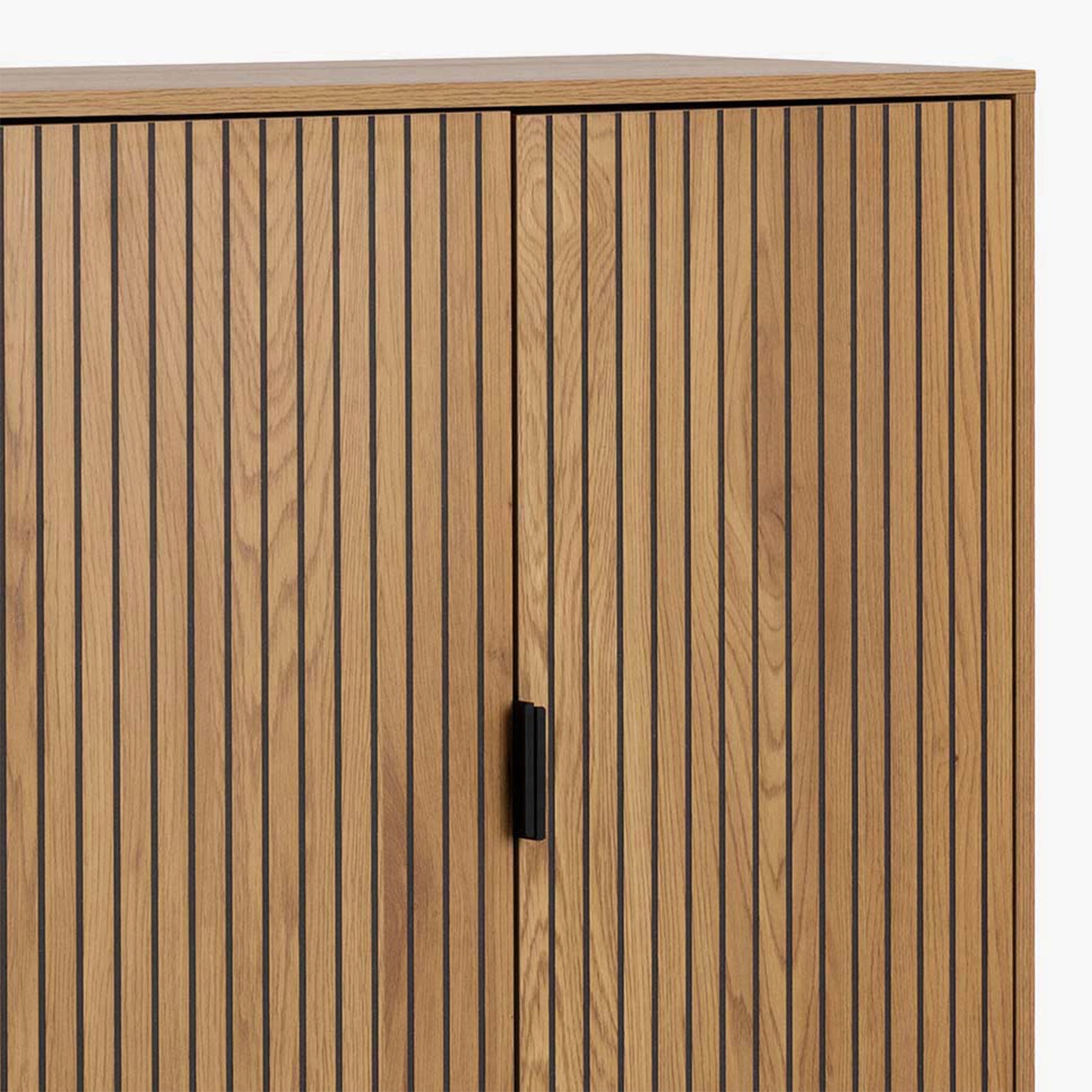 Jaipur Cabinet with 2 Doors in Wild Oak